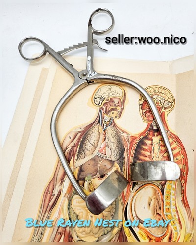 Antico strumento medico - antico,