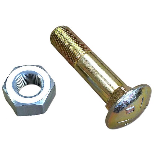 Bullone cerchio con dado