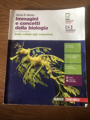 Immagini concetti della - concetti,