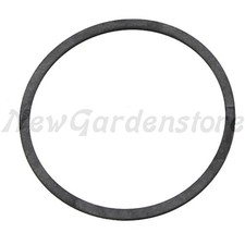 Guarnizione carburatore