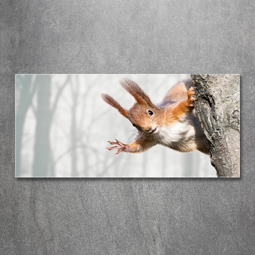 Quadro parete in - da,