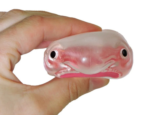 Blobfish stranezza sensoriale - blobfish,