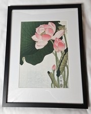 Framed Japanese Lotus Flower