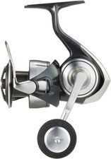 Mulinello da Pesca Daiwa