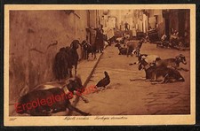 ah3291 - CARTOLINE D'EPOCA - Napoli Citta - Napoli vecchia