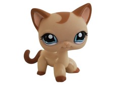 LPS #1024 Gatto Europeo TBE