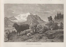 Pastore Con Gregge di Pecore