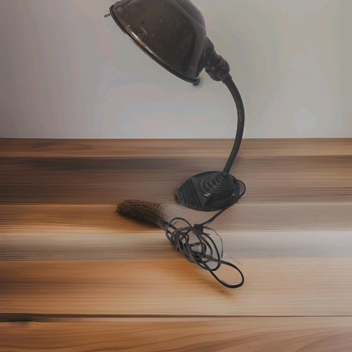 Lampada collo oca aquila - lampada,