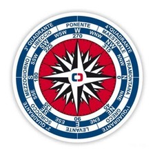 ADESIVO RAFFIGURANTE LA ROSA