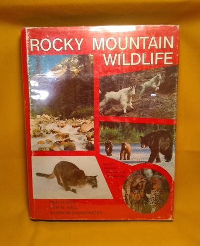 Rocky mountain wildlife don - wildlife,