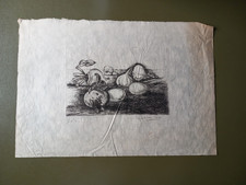 Giulio Ruffini - Natura morta