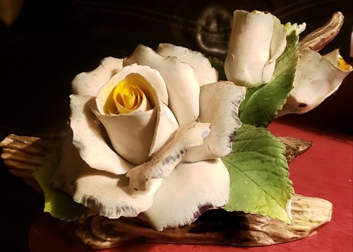 Rose porcellana stile - rose,