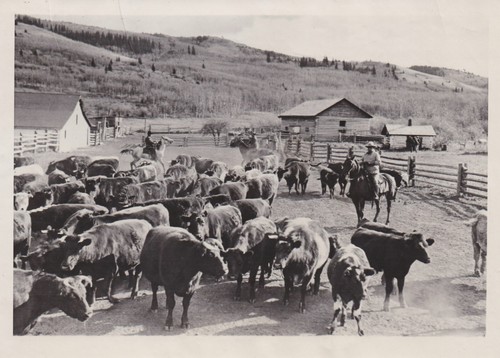 Foto stampa 1928 - , umorista
