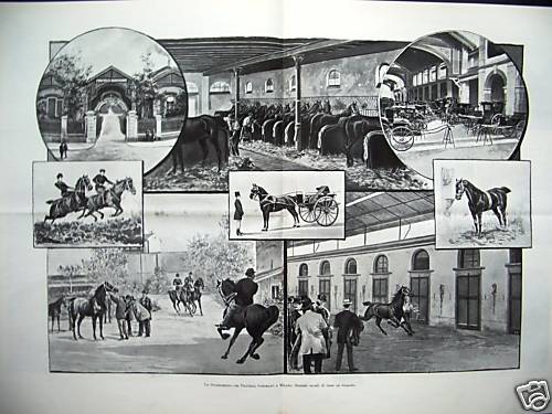 1900 cavalli scuderia gondrand - 1900,