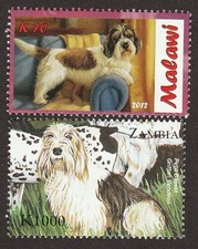 PETITE BASSET GRIFFON VENDEEN