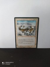 Gamma Caribou / Salice per