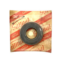 Paraolio Cambio Gallital