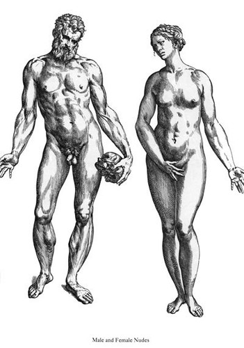 Poster ml38 vintage anatomia - ml38,