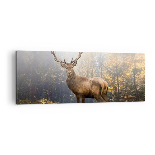 Quadro tela 140x50cm luce - quadro,