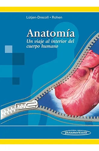 Anatomia viaje al - al, interior