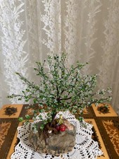 Bonsai albero fiori fatto - ,
