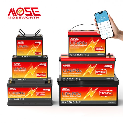 Batteria litio 12v 24v - 12v,