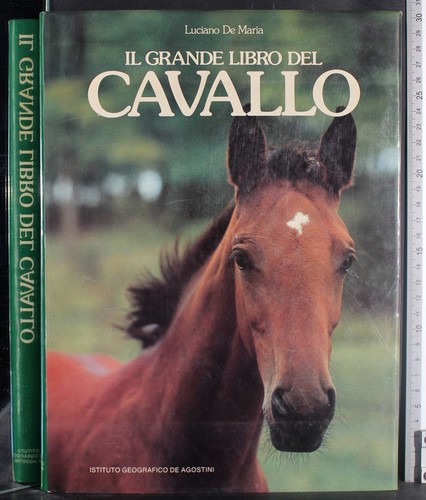 Grande libro del cavallo - libro,
