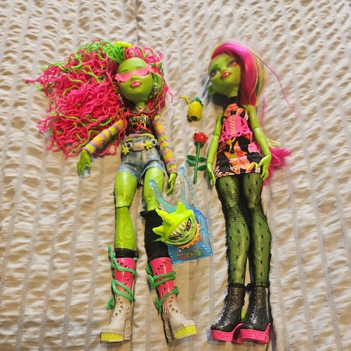Coppia bambole monster high - di,
