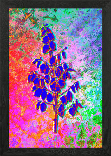 Quadro stampa tela poster - stampa,