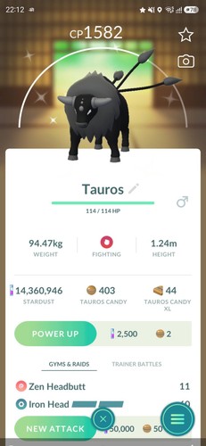 Shiny paldean tauros combat - shiny,