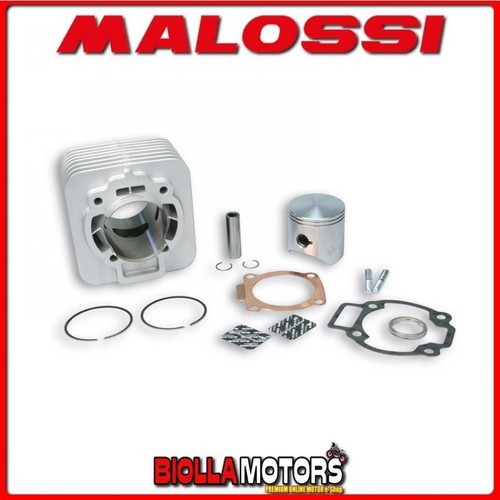 318236 cilindro malossi - malossi, 172cc