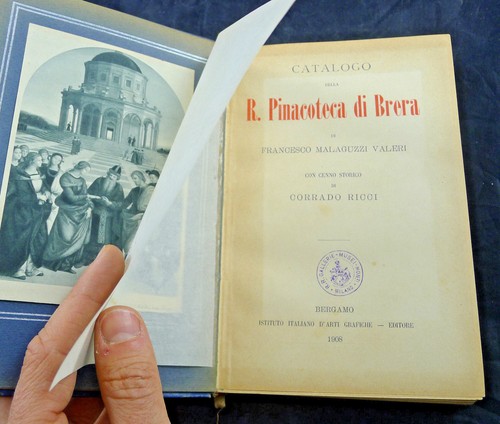 Libro catalogo pinacoteca - catalogo,