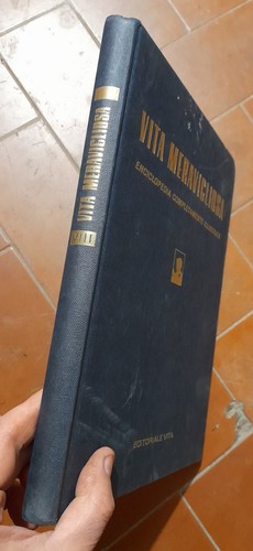 Vita meravigliosa - vita,