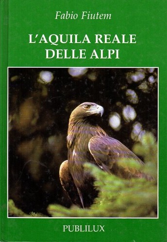 Aquila reale delle alpi - l'aquila, alpi.