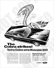 Pubblicità rivista vincitore