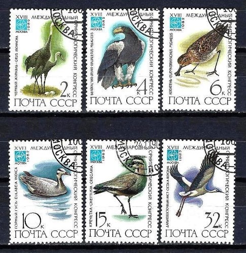 Animali uccelli russia urss - uccelli,
