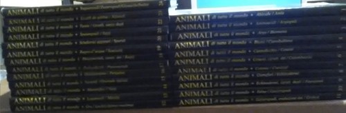 Animali tutto mondo - di,