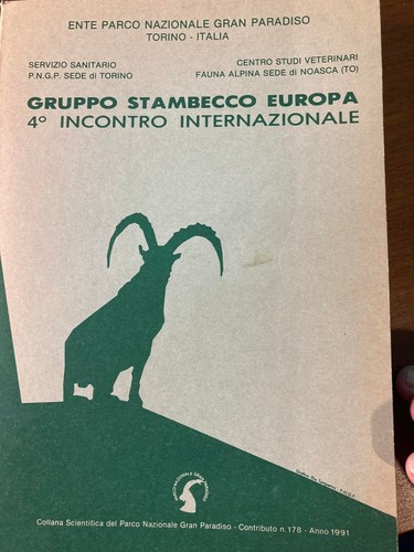 Gruppo stambecco europa - stambecco,