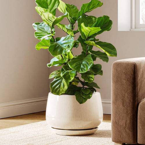 Vaso ceramica smaltata - in,