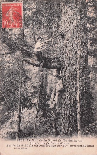 Carte postale ancienne