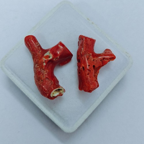 Vecchio corallo rosso grezzo - rosso,