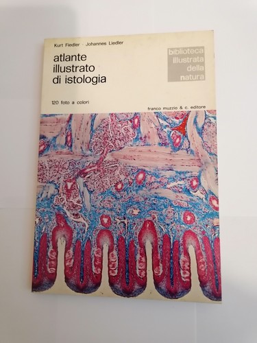 Atlante illustrato - , di