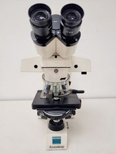 Microscopio Zeiss Axioskop Con