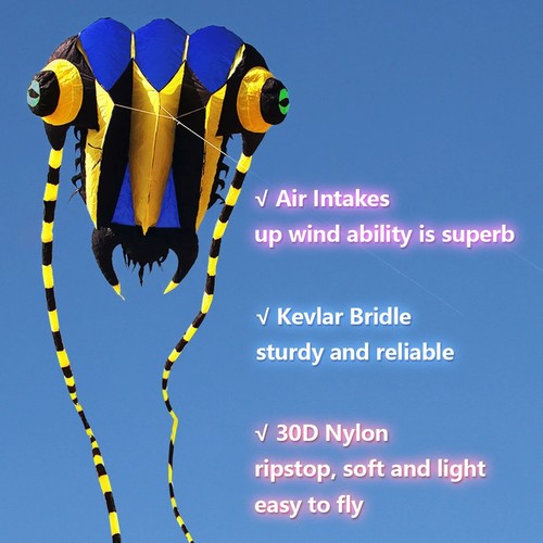Aquilone trilobite enorme - aquilone,