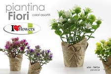 PIANTA PIANTINA FINTA