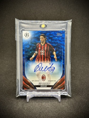 Rui costa 2023 - uefa, blu