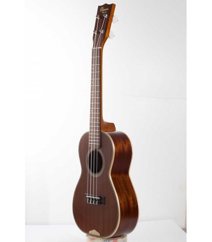 Ukulele ohana concert - ukulele,