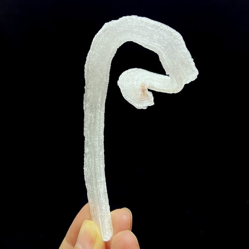 Selenite esemplare - selenite,