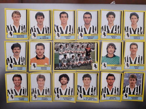 Lotto figurine panini - figurine,