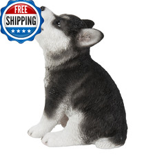 Howling Siberian Husky